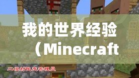 我的世界經驗（Minecraft經驗刷法：快速提升等級的有效指令！）