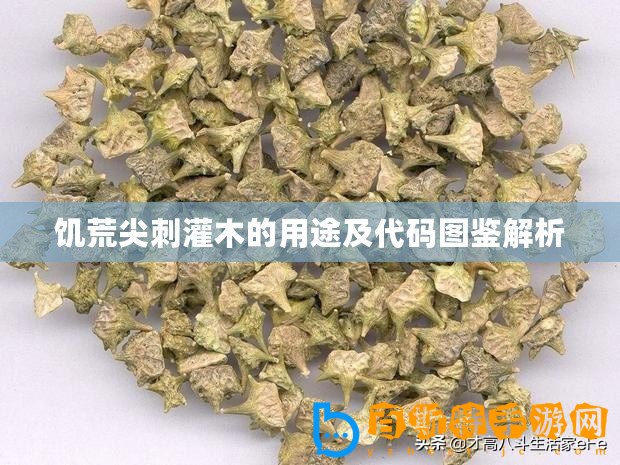 饑荒尖刺灌木的用途及代碼圖鑒解析