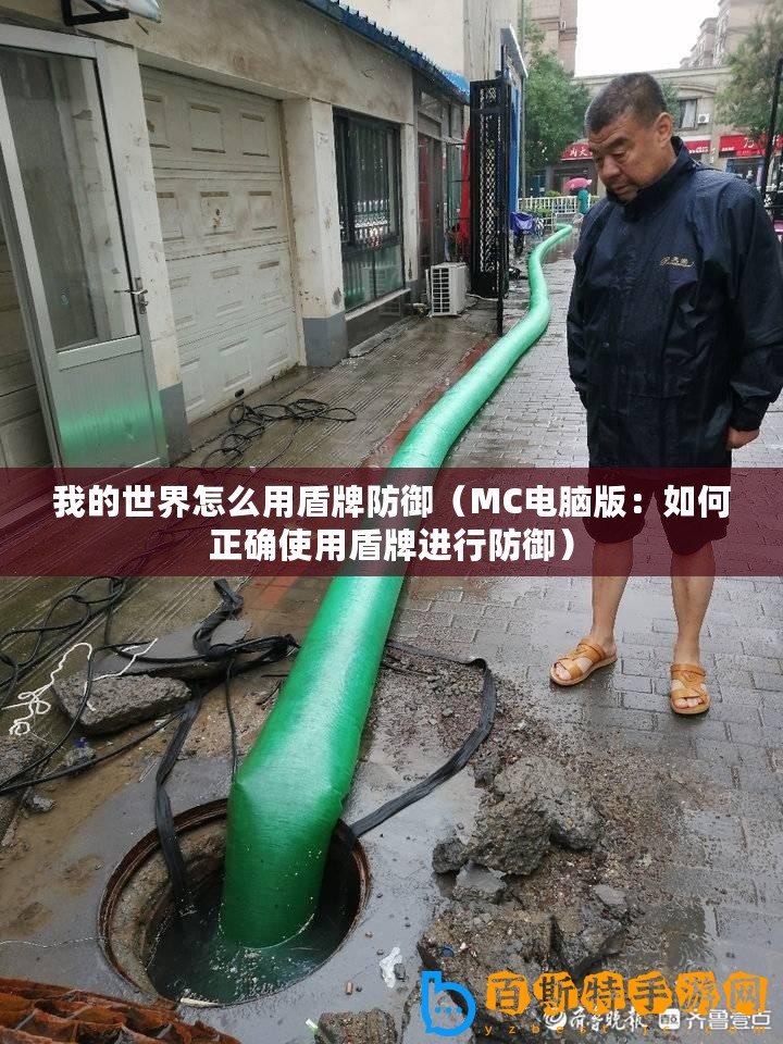 我的世界怎么用盾牌防御（MC電腦版：如何正確使用盾牌進行防御）