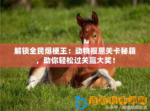 解鎖全民爆梗王：動物報恩關卡秘籍，助你輕松過關贏大獎！