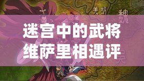 迷宮中的武將維薩里相遇評價如何