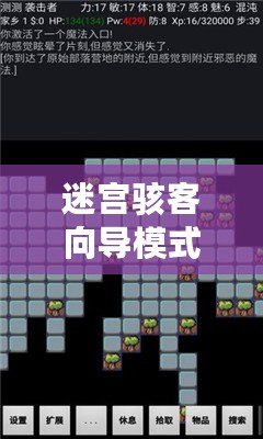 迷宮駭客向?qū)Ｊ绞鞘裁匆馑?向?qū)Ｊ浇榻B