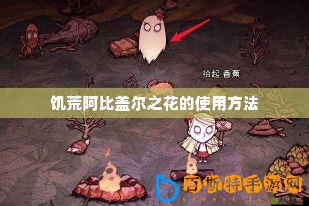 饑荒阿比蓋爾之花的使用方法