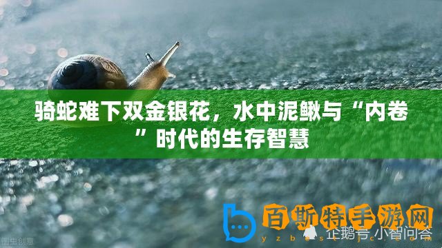 騎蛇難下雙金銀花，水中泥鰍與“內卷”時代的生存智慧