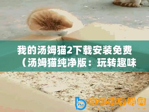 我的湯姆貓2下載安裝免費（湯姆貓純凈版：玩轉趣味生活，解鎖寵物世界的無限可能?。?/>			</a>
		</figure>
		<div   id=