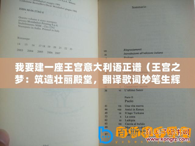 我要建一座王宮意大利語正譜（王宮之夢：筑造壯麗殿堂，翻譯歌詞妙筆生輝?。? title=