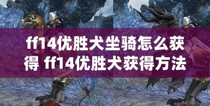 ff14優勝犬坐騎怎么獲得 ff14優勝犬獲得方法