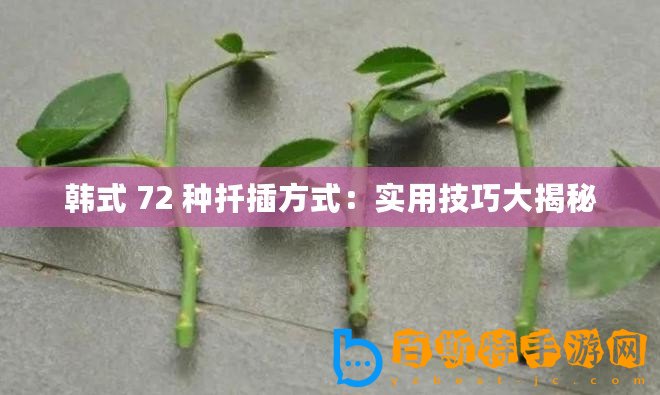 韓式 72 種扦插方式：實(shí)用技巧大揭秘