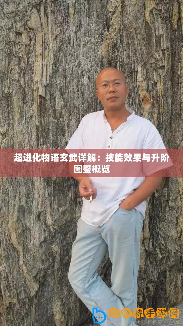 超進化物語玄武詳解：技能效果與升階圖鑒概覽