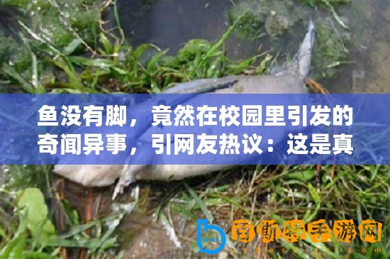 魚沒有腳，竟然在校園里引發的奇聞異事，引網友熱議：這是真的嗎？