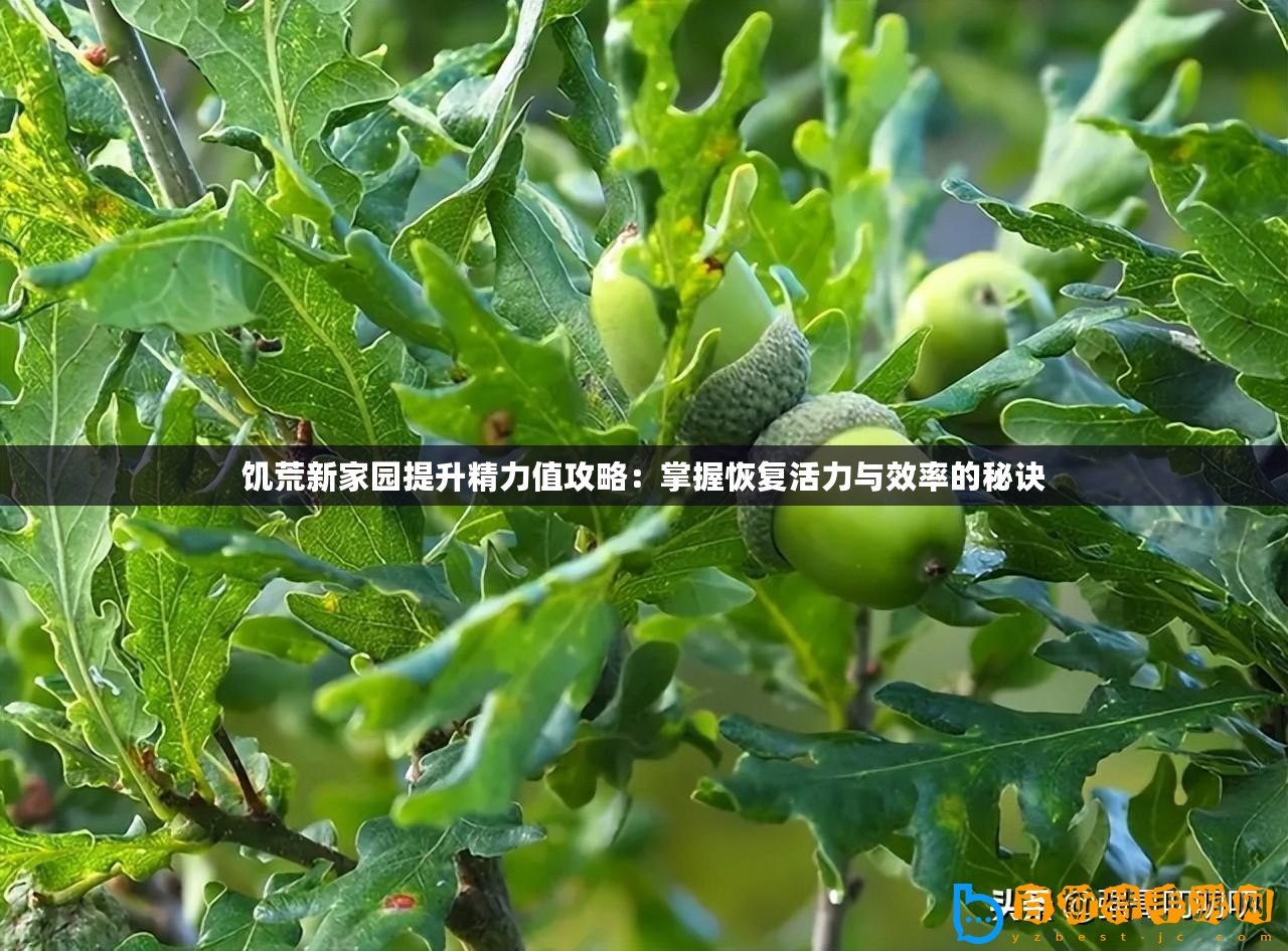 饑荒新家園提升精力值攻略：掌握恢復(fù)活力與效率的秘訣