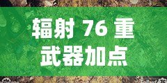 輻射 76 重武器加點與裝備選擇攻略