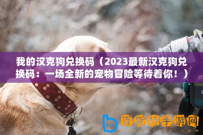 我的漢克狗兌換碼（2023最新漢克狗兌換碼：一場全新的寵物冒險等待著你！）