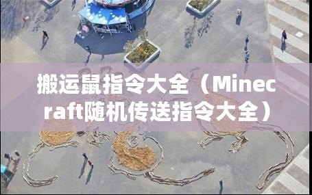 搬運鼠指令大全（Minecraft隨機傳送指令大全）