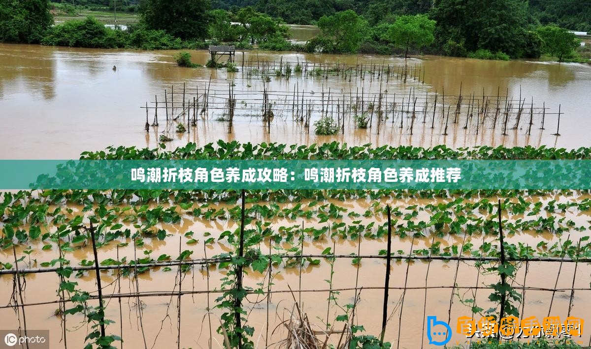 鳴潮折枝角色養成攻略：鳴潮折枝角色養成推薦