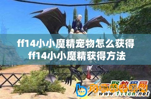 ff14小小魔精寵物怎么獲得 ff14小小魔精獲得方法