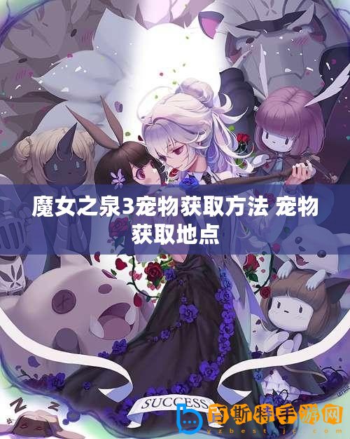 魔女之泉3寵物獲取方法 寵物獲取地點