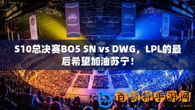 S10總決賽BO5 SN vs DWG，LPL的最后希望加油蘇寧！