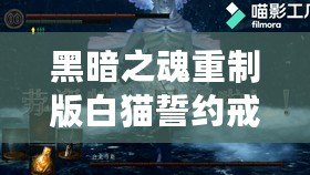 黑暗之魂重制版白貓誓約戒指收集指南