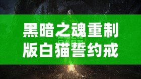 黑暗之魂重制版白貓誓約戒指收集指南