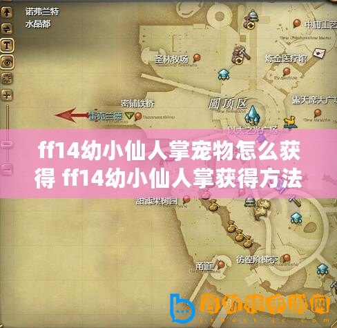 ff14幼小仙人掌寵物怎么獲得 ff14幼小仙人掌獲得方法