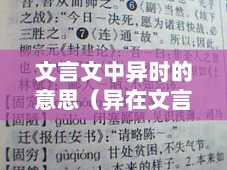 文言文中異時的意思（異在文言文中的用法是什么？）