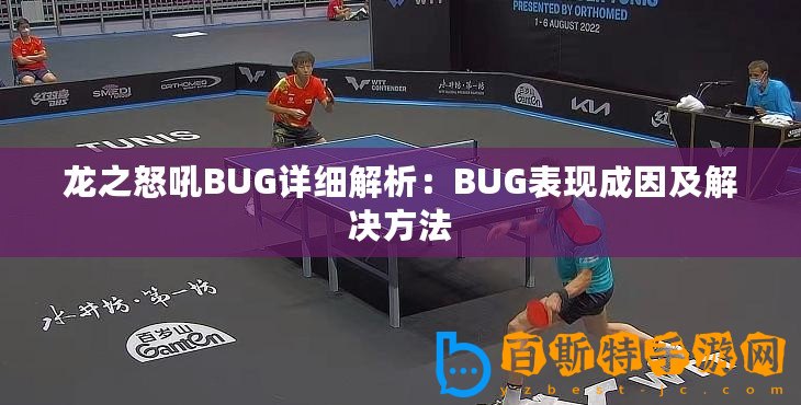 龍之怒吼BUG詳細解析：BUG表現成因及解決方法