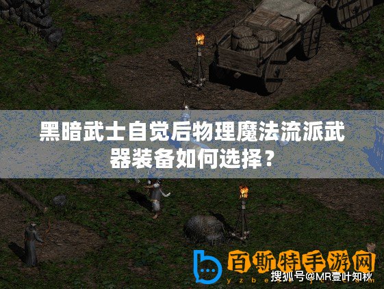 黑暗武士自覺后物理魔法流派武器裝備如何選擇？